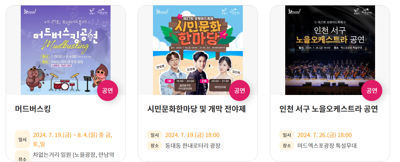 보령 머드축제 행사 종류