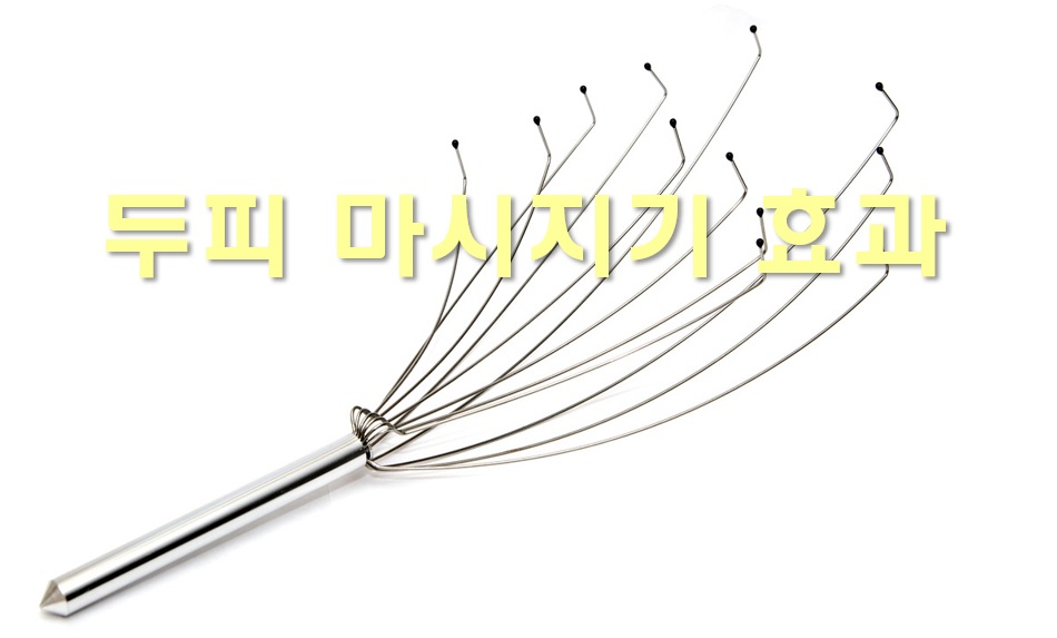  두피 마사지기 효과와 두피 에센스와 영양제 효능