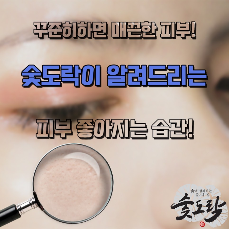 도락 이미지
