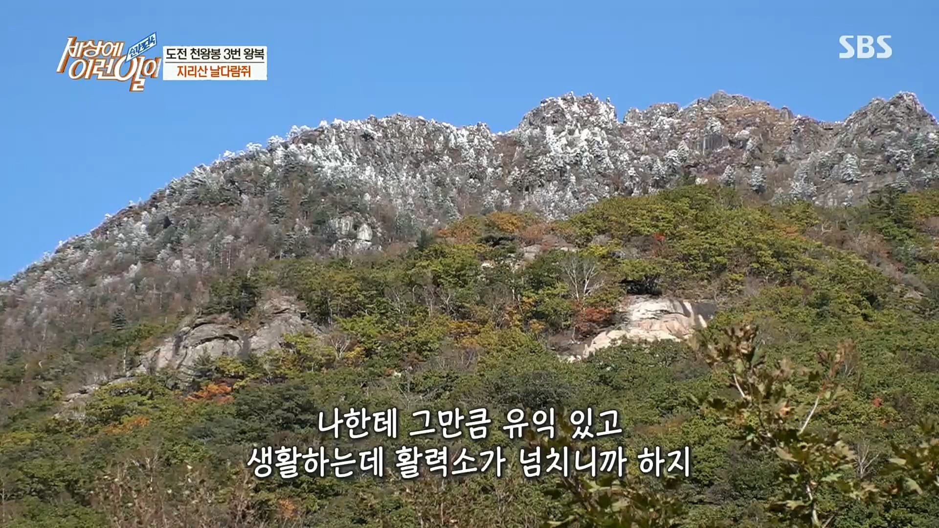 순간포착 세상에 이런일이.E1202.221018p.H264-F1RST.mp4_20221019_182910.775.jpg