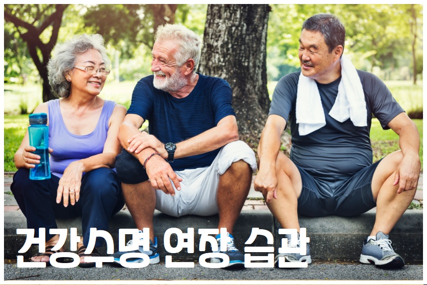 건강수명 연장 습관