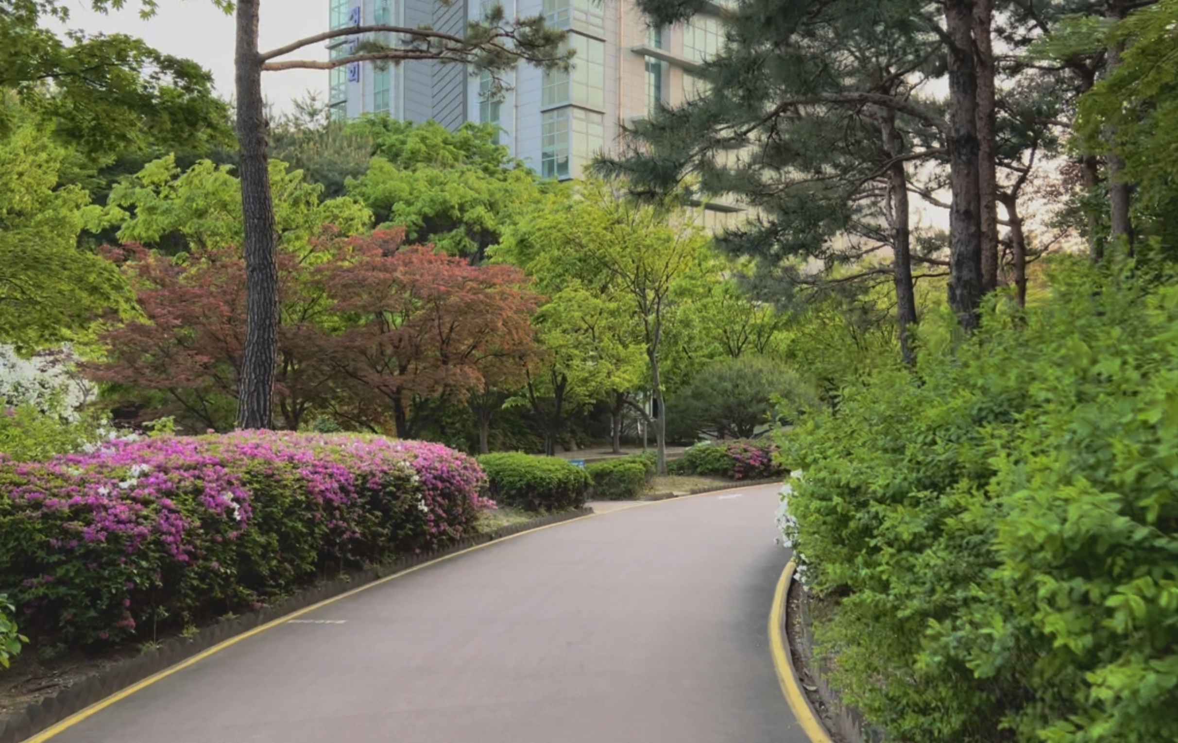  [23.04.24] 하루의 끝,일상의 쉼표