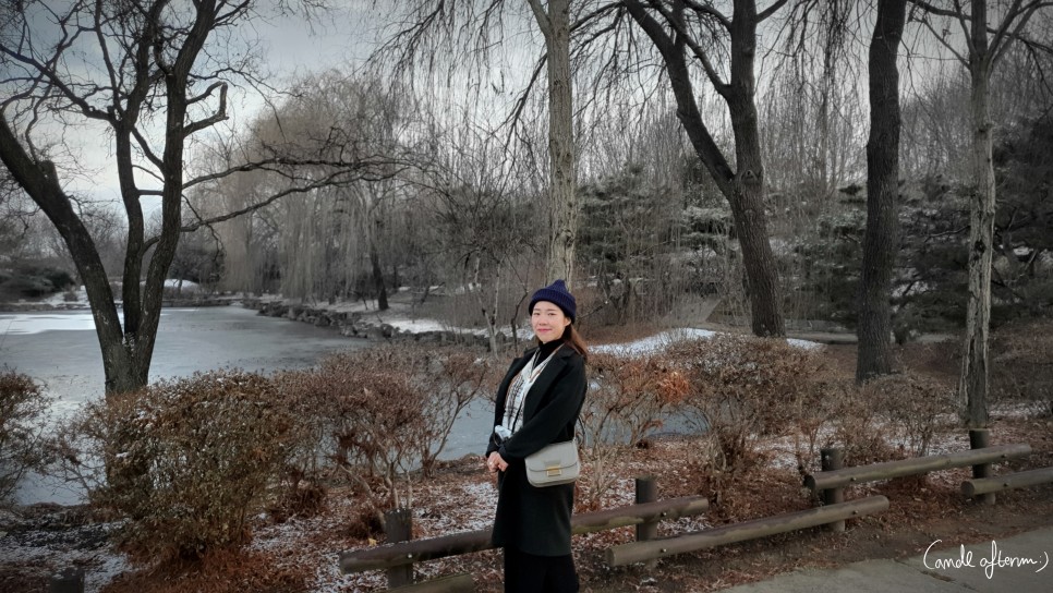 전주 겨울여행 전주겨울여행/한국도로공사 67