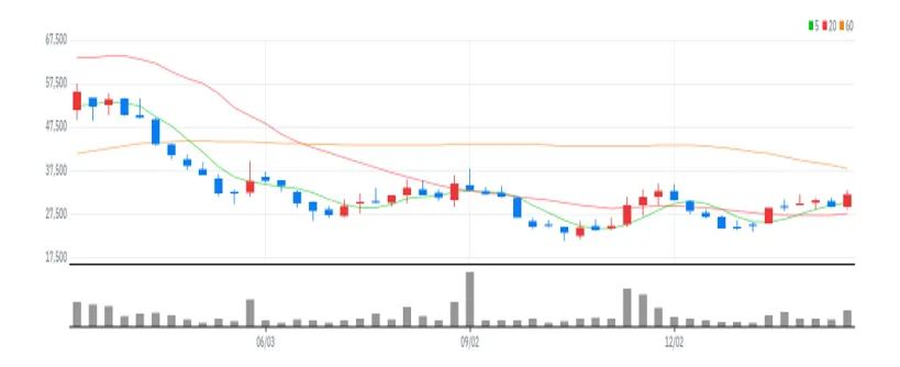 네오위즈홀딩스 주봉