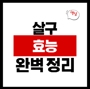 살구 효능