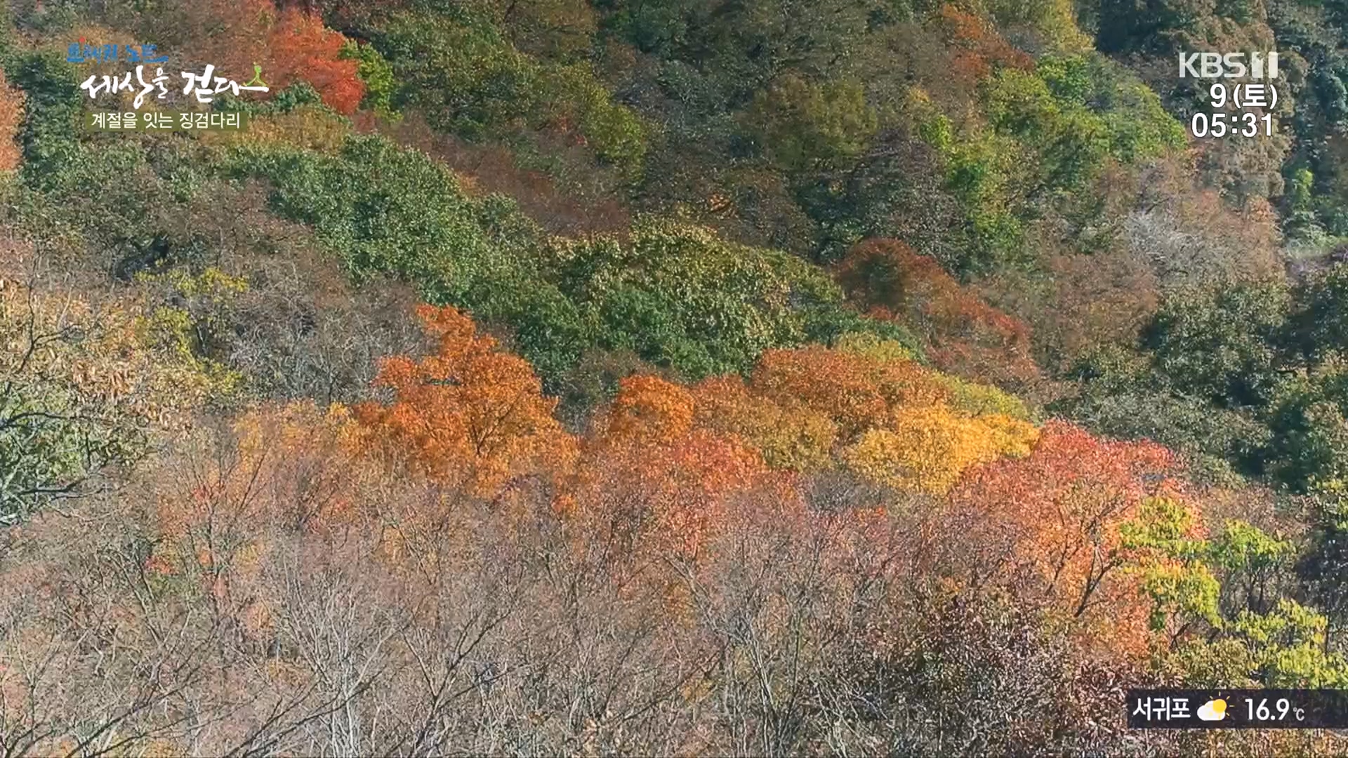 트레킹노트 세상을 걷다.E298.231209p.H264-F1RST.mp4_20240105_205423.573.jpg