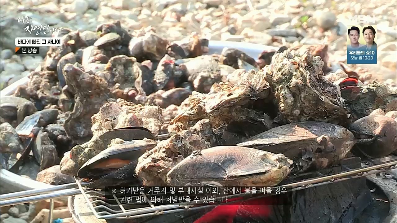 나는 자연인이다.E530.221131p.H264-F1RST.mp4_20221201_212033.131.jpg