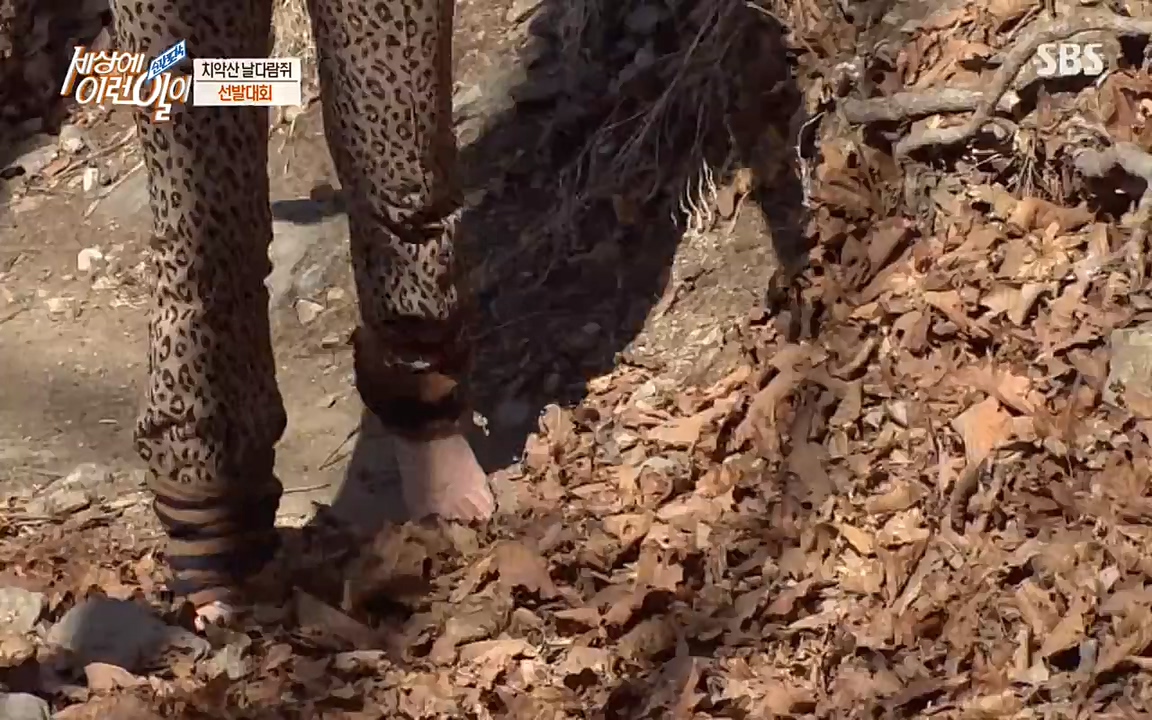 순간포착 세상에 이런일이.E1171.220316p-NEXT.mp4_20220316_184955.543.jpg