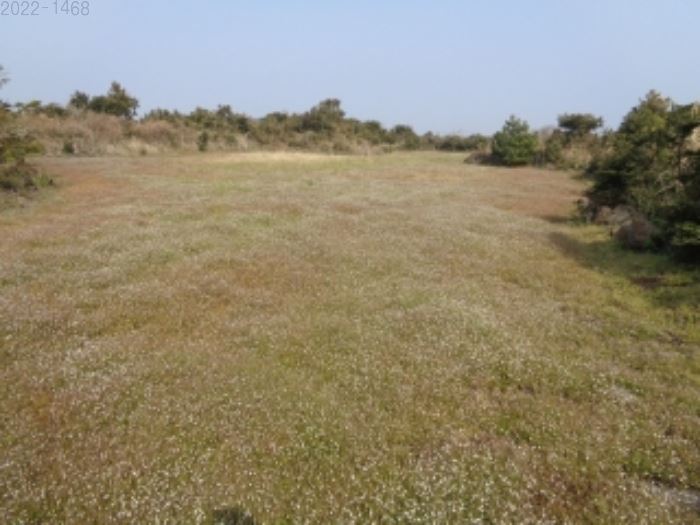 제주도 토지경매 임야경매 서귀포시 9