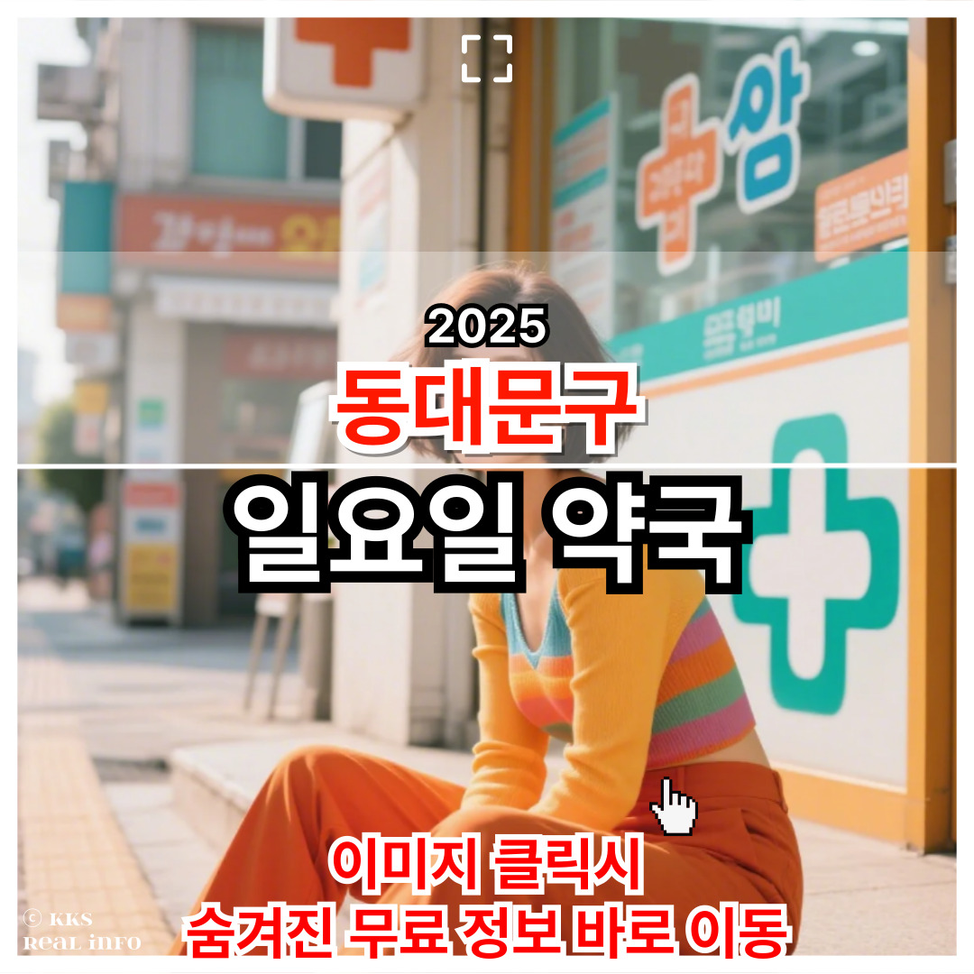 동대문구 일요일 운영 약국 완전정리