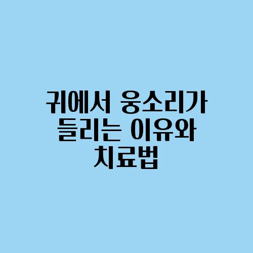 귀에서 웅소리가 들리는 이유와 치료법