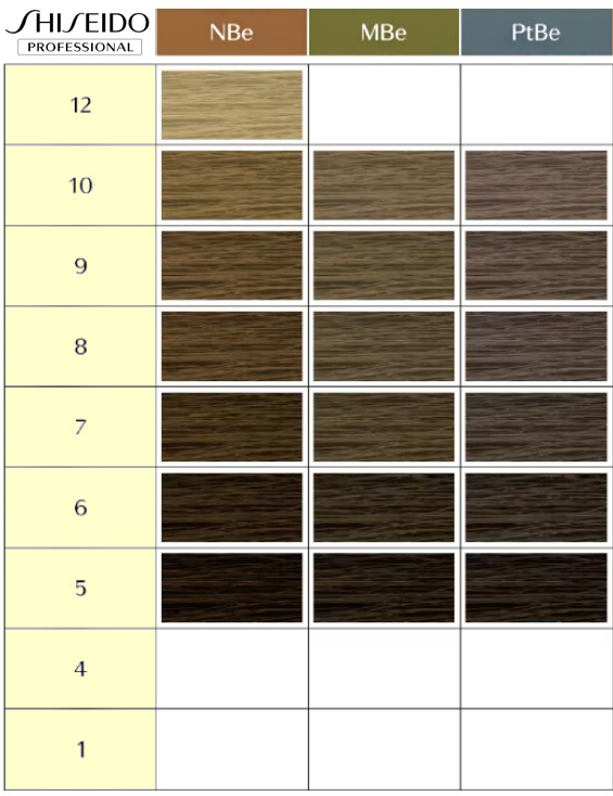 시세이도 염색약 엔리치 컬러차트