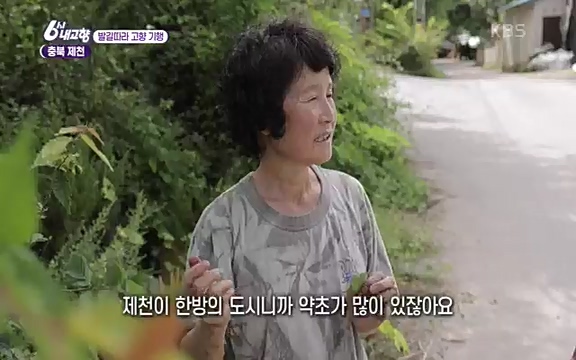 [7612회] 6시 내고향 - KBS7612회] 6시 내고향.ts_20220912_173531.561.jpg