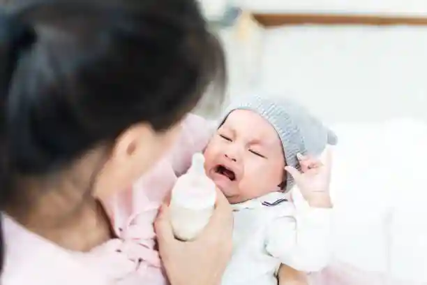 눈썰매와 얼음썰매를 탈수 있는 알프스마을 - undefined - "둘째 아이의 밥시간" 눈썰매와 얼음썰매를 탈수 있는 알프스마을 - undefined - "둘째 아이의 밥시간"