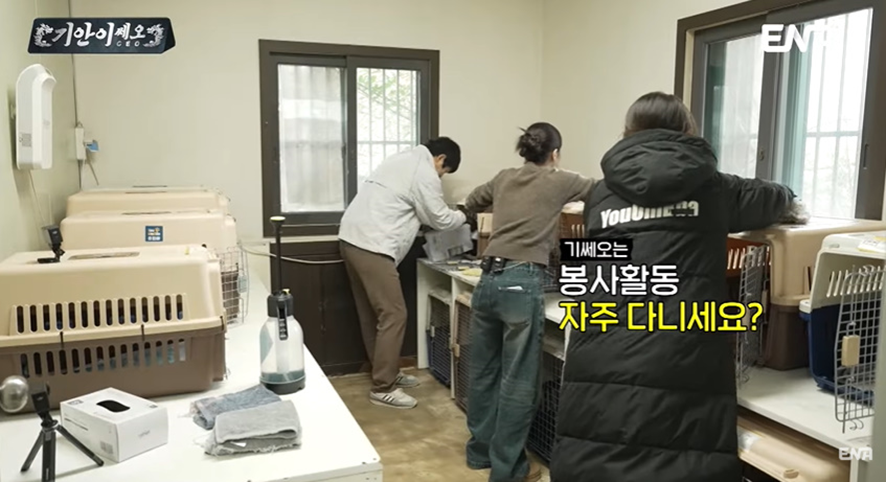 총맞은 채로 구조된 강아지 보고 눈물 흘린 기안84 | 인스티즈