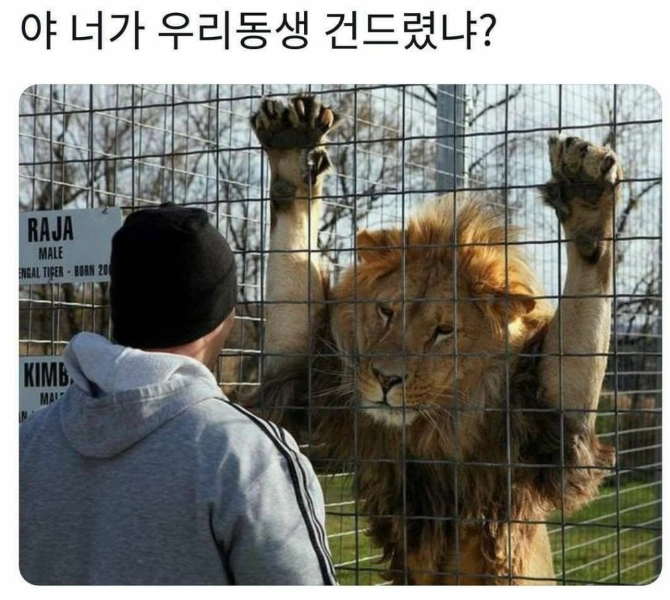  니가 내 동생 건드렸냐 모음.jpg
