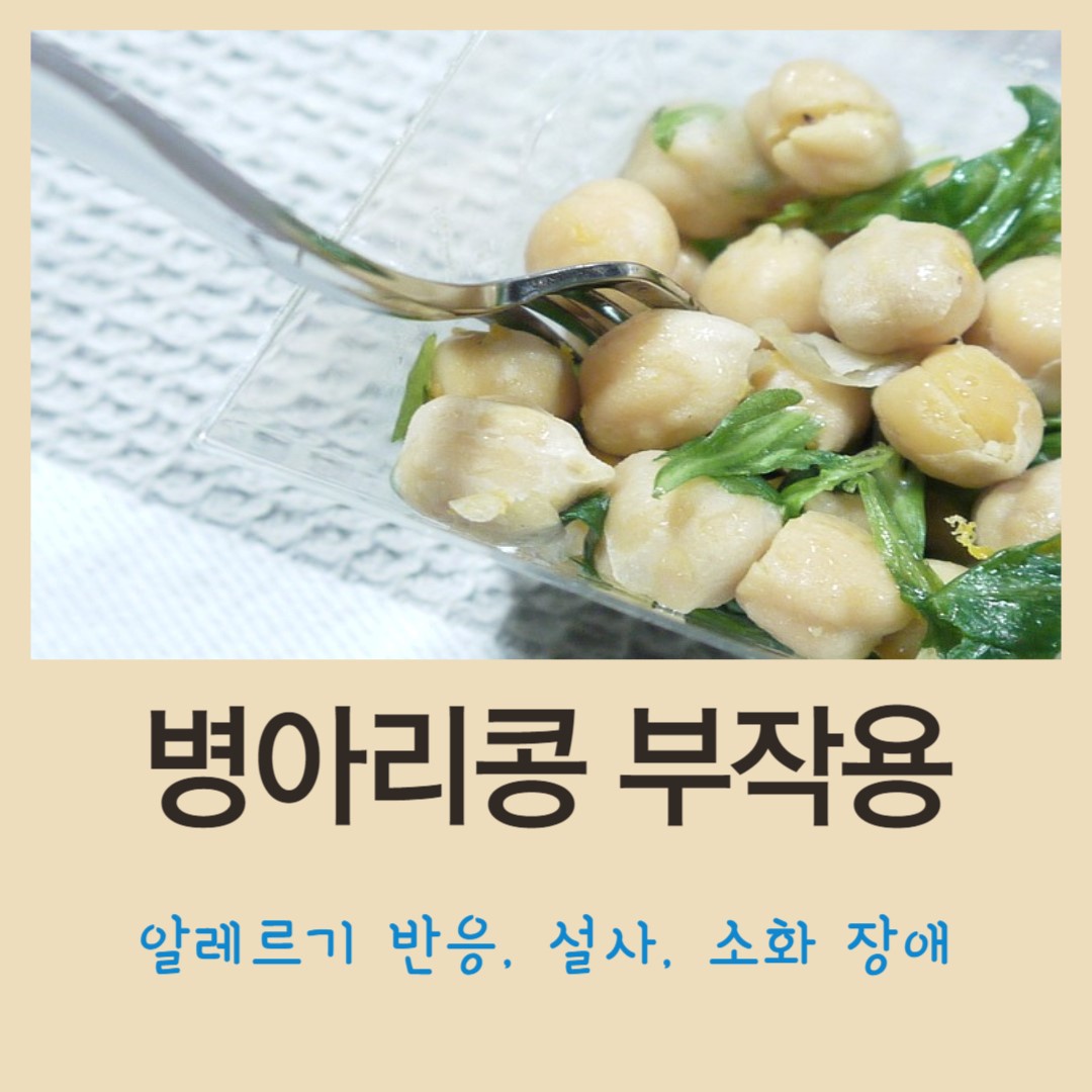 병아리콩-부작용에-대한-설명과-병아리콩-사진