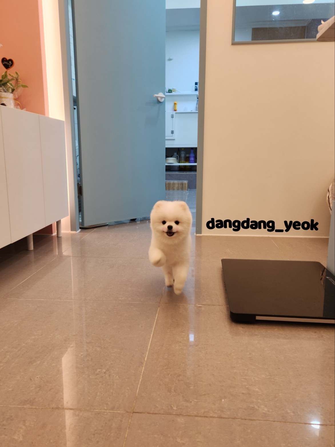 설미용실 이미지