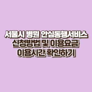 서울시 병원 안심 동행 서비스 신청방법 및 이용요금 이용시간 안내