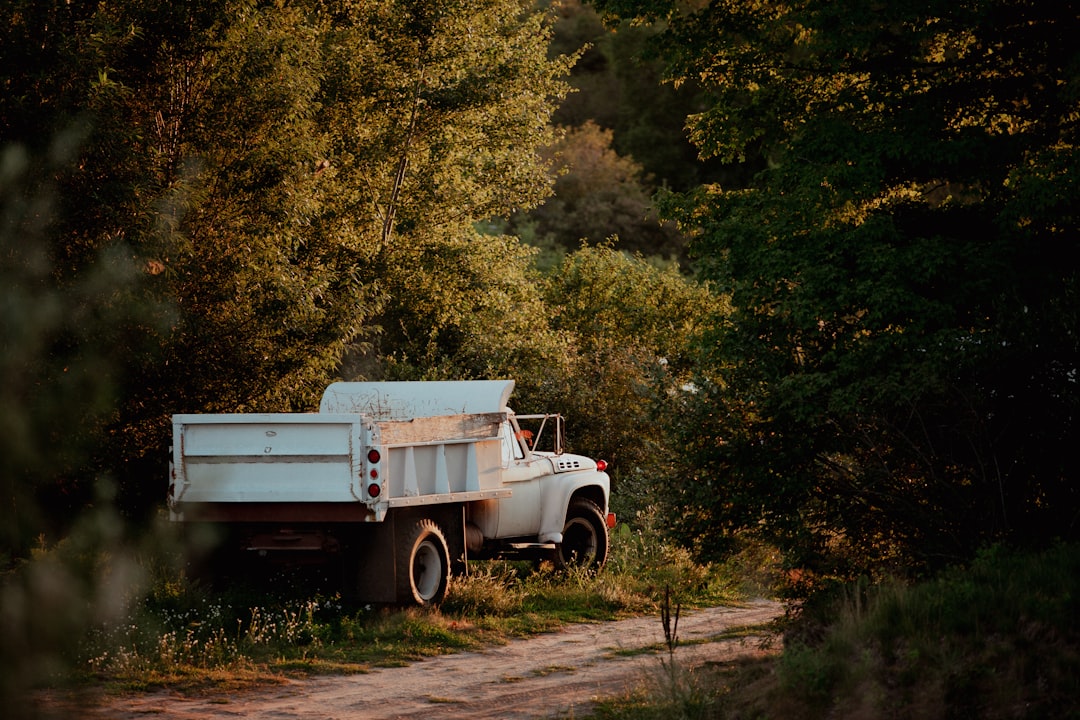 'truck'