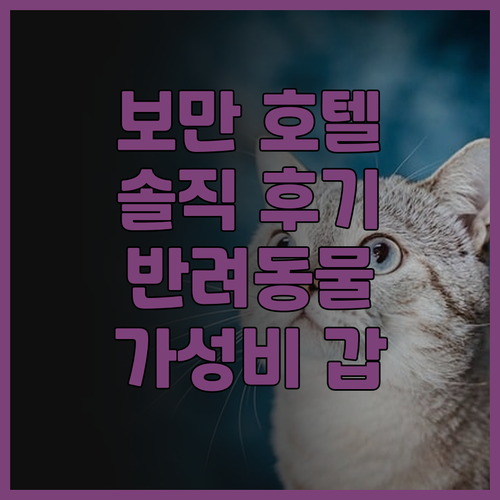 보만 호텔(선전 광밍 1호) 솔직 후
