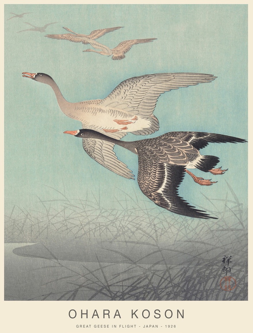 오하라 코손(Ohara Koson)&#44; 일본&#44; 화가&#44; 1877-1945