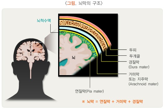 뇌수막염 감염 경로
뇌수막염 예방접종