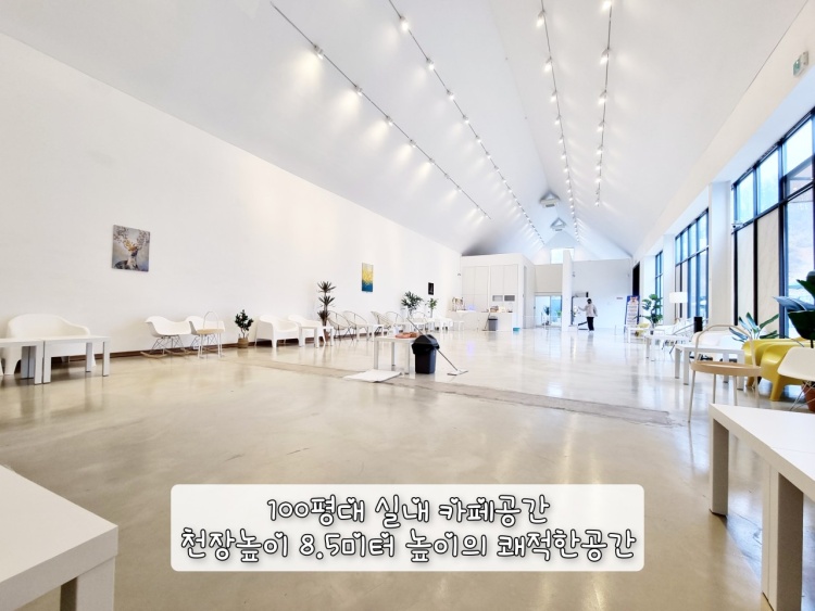 코니아일랜드 이미지