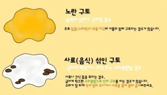 강아지 토 색깔 증상 강아지 토하는 원인과 구토 종류별 건강상태 살펴보기_13