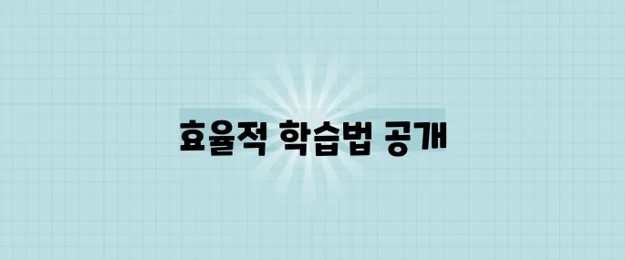 IT 자격증 한 달 만에 취득하는 학습 로드맵