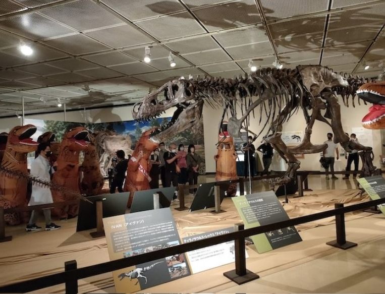 티라노사우루스 공룡전의 귀여운 &quot;공룡 퍼포먼스&quot; VIDEO: Japanese Museum Unleashes “Dinosaurs” in Celebration of New Tyrannosaurus Rex Exhibit