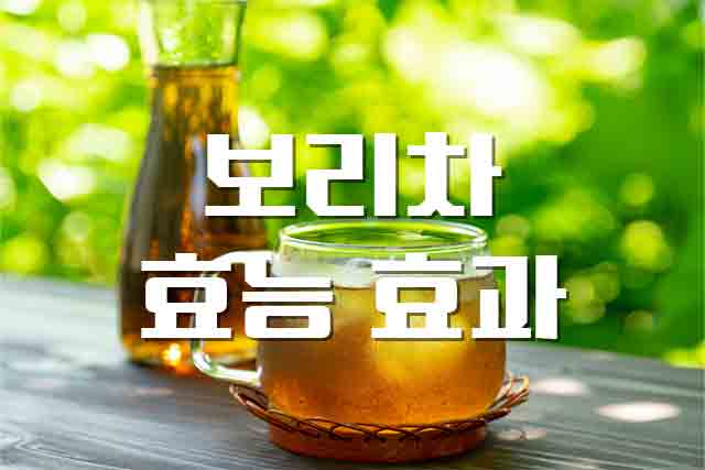 보리차, 그냥 물은 싫어하는 사람을 위한 보리차 효능