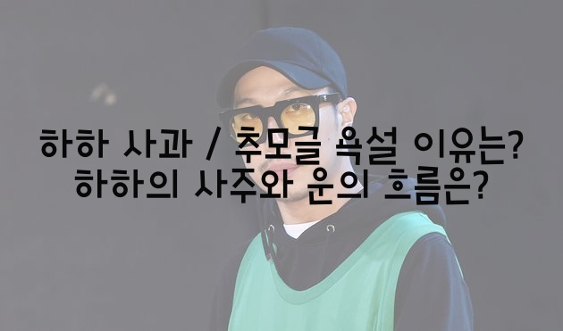  하하 사과 / 추모글 욕설 이유는? 하하의 사주와 운의 흐름은?