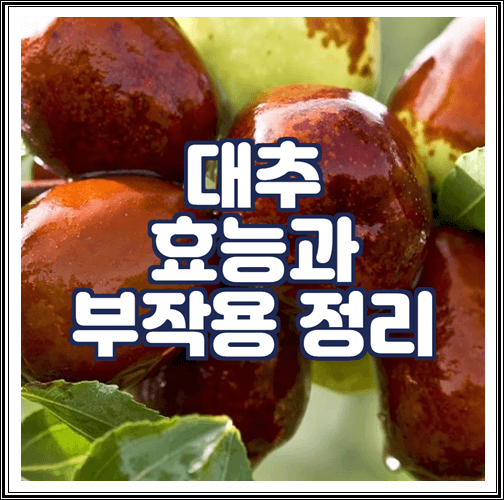  대추 효능과 부작용 정리
