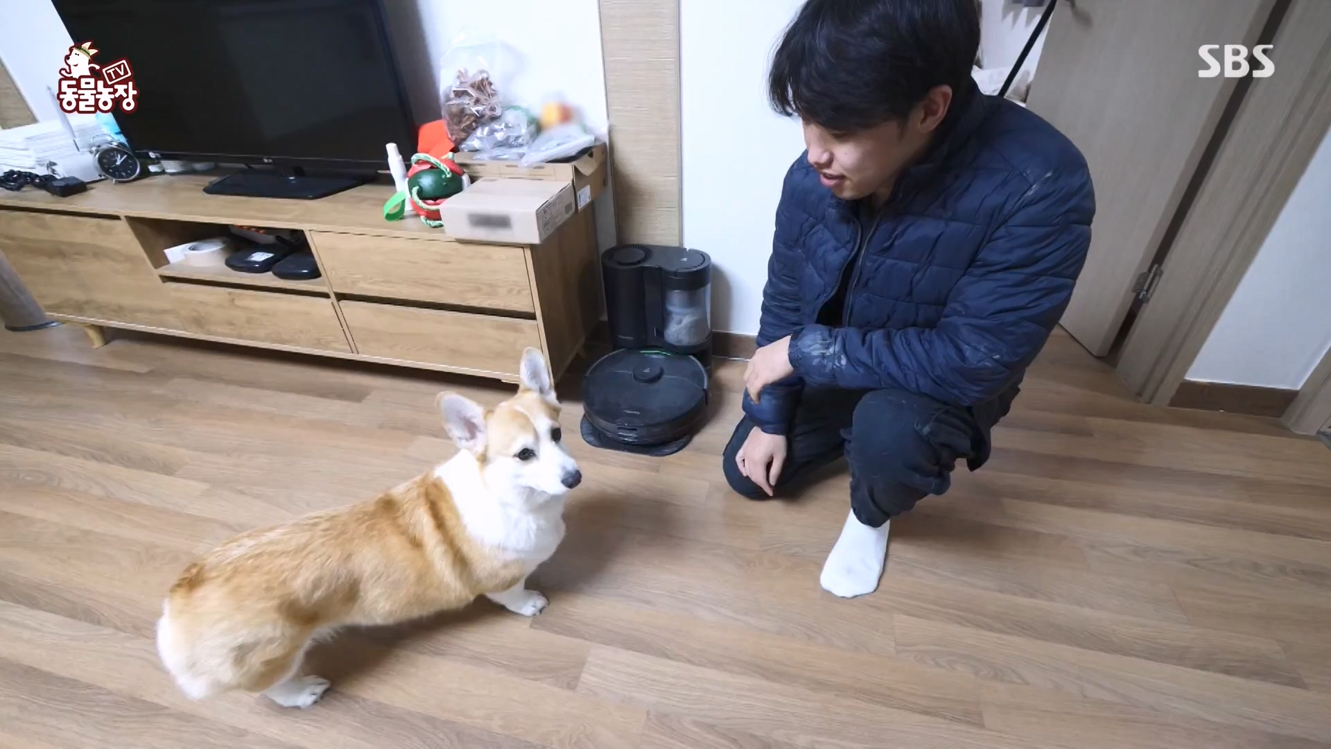 TV 동물농장.E1161.240303p-NEXT.mp4_20240303_172244.951.jpg