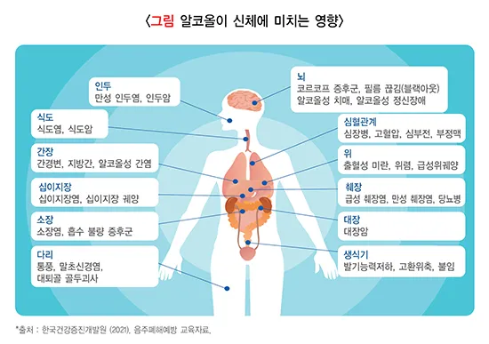 알코올이 신체에 미치는 영향
