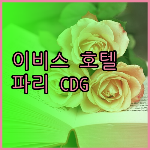 이비스 파리 CDG 에어포트 호텔 리