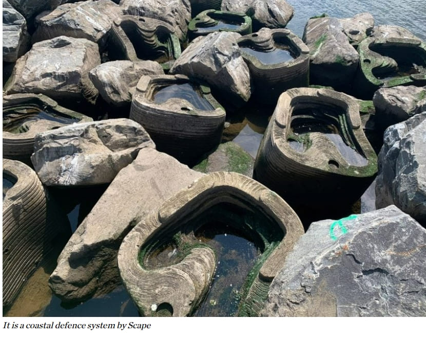  굴이 서식할 수 있는 '살아있는 방파제' VIDEO: Living Breakwaters coastal defence system wins Obel Award 2023