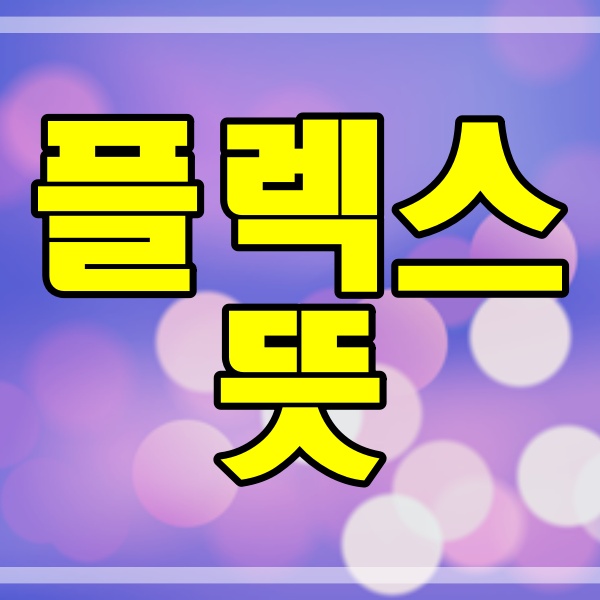  플렉스 뜻과 의미 변화 (미국_우리나라 차이점) (176번)