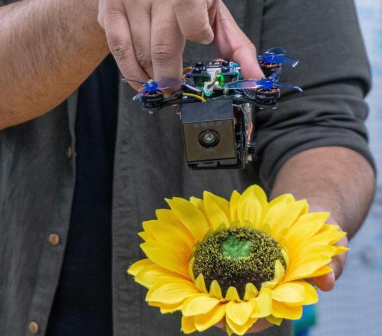 Robotics Engineers Work to &#39;Bee&#39; Part of the Climate Change Solution