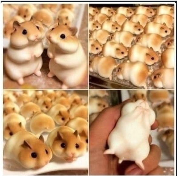  아직도 일본의 햄스터빵이라고 돌아다니는 일본 햄스터 빵의 진짜 정체 알아봅시다