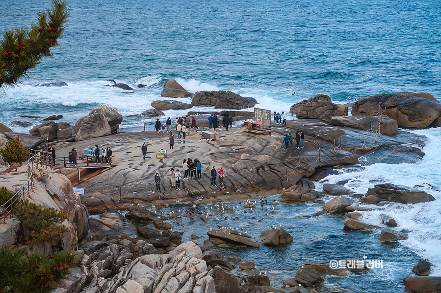 동해바다 볼거리 양양 휴휴암 1