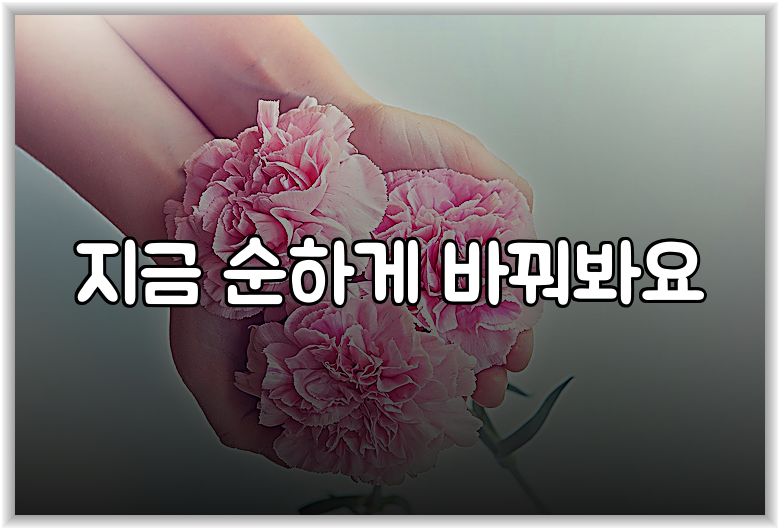 지금 순하게 바꿔봐요