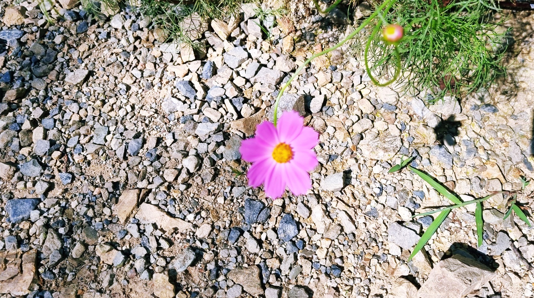  같지 않다는 점을 인정하라