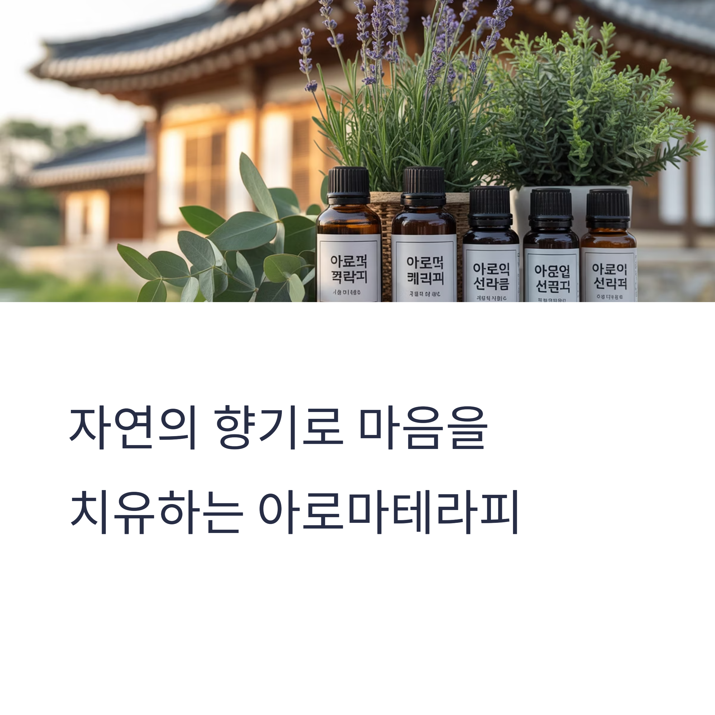아로마 오일로 마음 돌보기