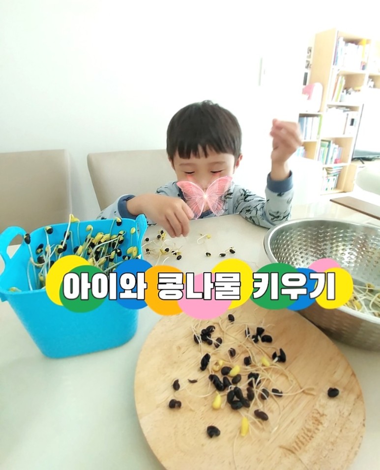이게 뭐가 그렇게 행복해요? 아이와 함께 콩나물 키우기 5