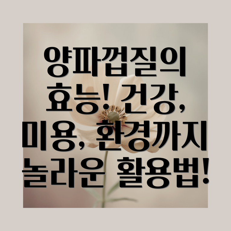 양파껍질 효능