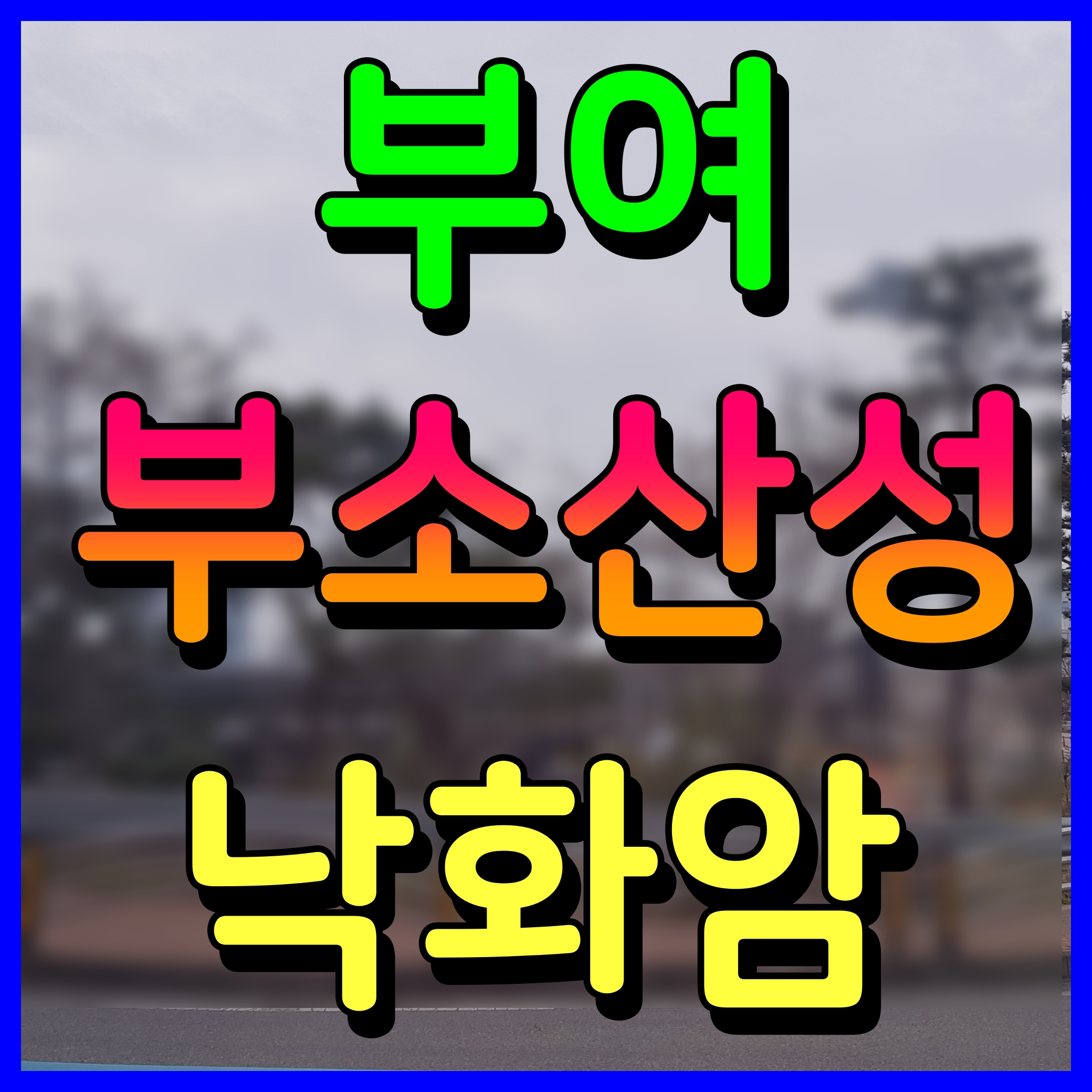  부여 부소산성 단풍 낙화암 가는길 풍경 산책 코스 너무 멋있다