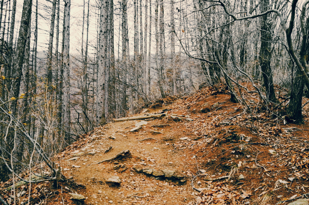 명산 강원 홍천 가리산 등산 mountain hiking