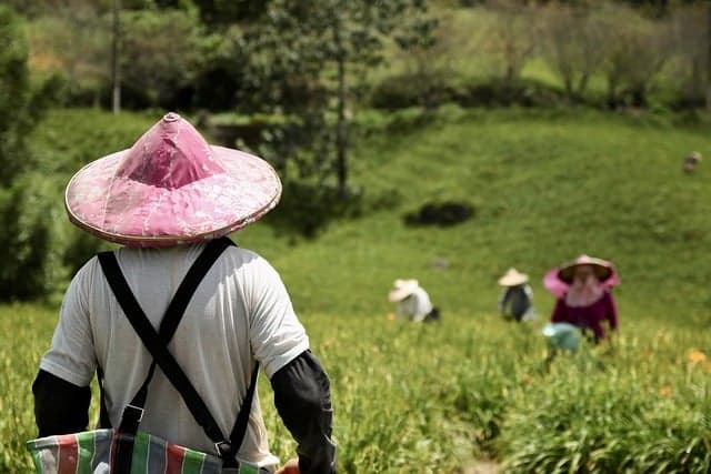 도시 농업에 스마트 기술을 적용할 때의 어려움과 해결책